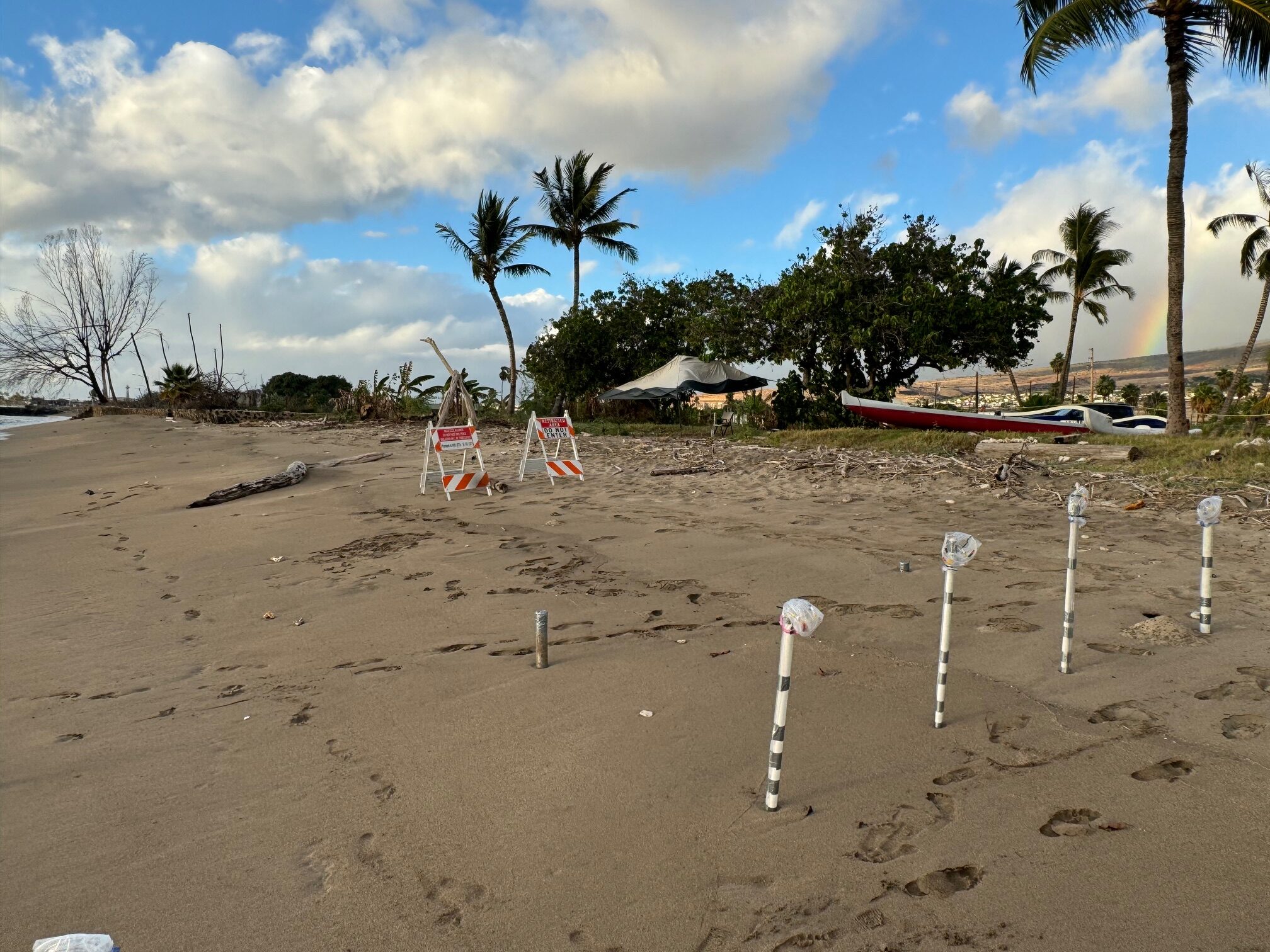 A look at the new Lahaina checkpoint mauka of Kamehameha Iki Park. The checkpiont on the beach near Breakwall surf spot has been effective to keep people, including disataer tourists, out of the final restricted area that includes the Lahaina banyan treet. HJI / ROB COLLIAS photo